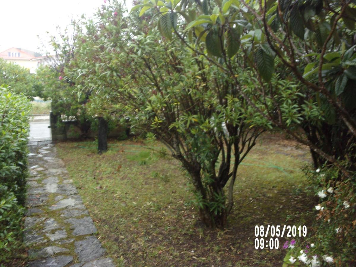 Boa Vivenda Villa Carcavelos  Eksteriør billede